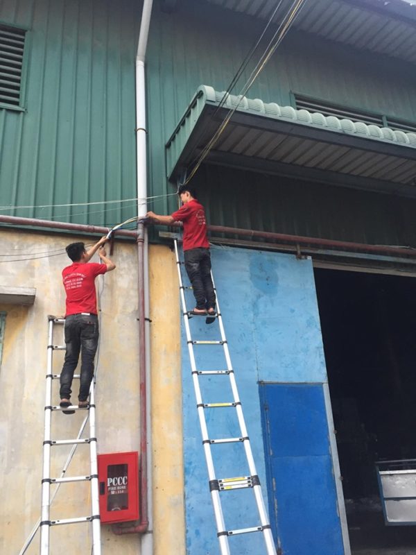 77410956 437796726858936 13656943734292480 N